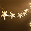 Battery Operated Warm White 30 LED Fairy String Lights Starfish Shaped with Remote Indoor&outdoor Used for Christmas